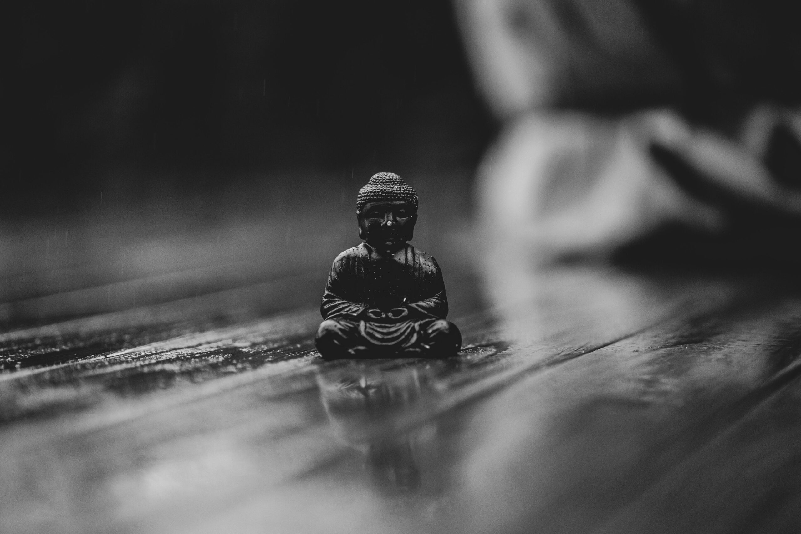 pexels szymon shields 1503561 6015061